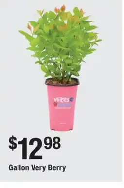 The Home Depot Gallon Very Berry offer