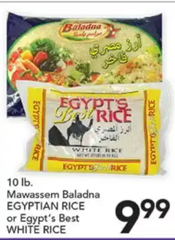 Pete's Fresh Market Mawassem Baladna EGYPTIAN RICE or Egypt's Best WHITE RICE offer