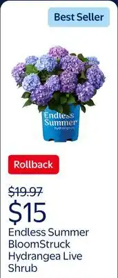 Walmart Endless Summer BloomStruck Reblooming Hydrangea Live Shrub in 1-Gallon Grower Pot offer