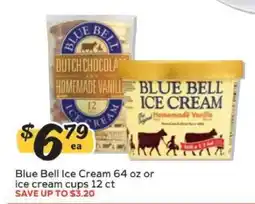 Winn Dixie Blue Bell Ice Cream offer