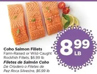 Coho Salmon Fillets