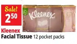 Ocean State Job Lot Kleenex Ultra Soft Pocket Pack Face Tissues 12 Count offer