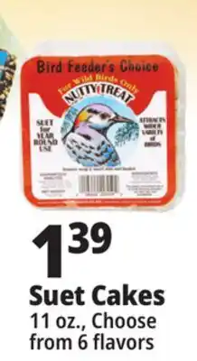 Ocean State Job Lot Bird Feeder's Choice High Energy Suet 11 oz offer