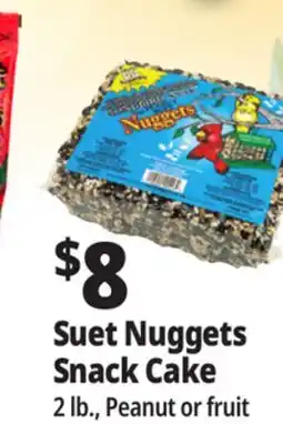 Ocean State Job Lot C&S EZ Fill Suet Cake or Snak Feeder offer