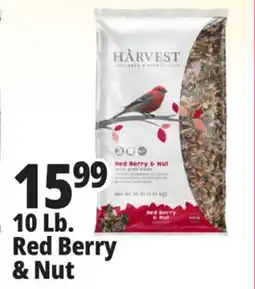Ocean State Job Lot Harvest Seed & Supply Red Berry & Nut Wild Bird Food 10 lb offer