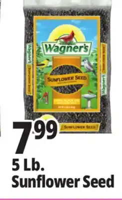 Ocean State Job Lot Wagner's Black Oil Sunflower Seed Wild Bird Food 5 lbs offer