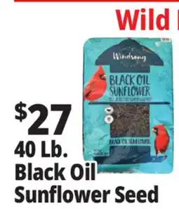 Ocean State Job Lot Black Oil Sunflower Seeds 40 lbs offer
