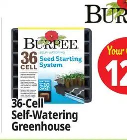 Ocean State Job Lot Burpee Self-Watering Seed Starting System 36-Cell offer