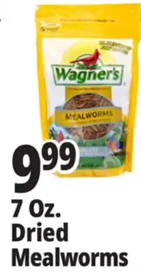 Ocean State Job Lot Wagner's Bird Meal Worms 7oz offer