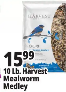 Ocean State Job Lot Harvest Seed & Supply Mealworm Medley Wild Bird Food 10 lb offer