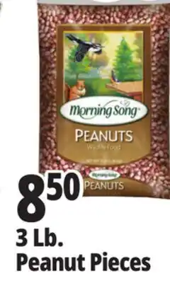Ocean State Job Lot Audubon Peanut Pieces Bird Seed 3lb offer