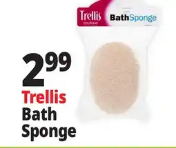 Ocean State Job Lot Trellis Boutique Bath Sponge with Strap offer