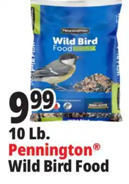Ocean State Job Lot Pennington Wild Bird Food 10 lbs offer