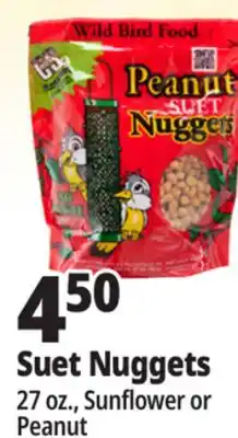 Ocean State Job Lot C&S Wire Bird Feeder offer