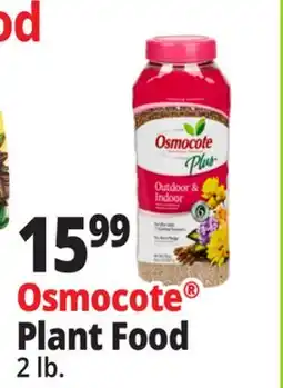 Ocean State Job Lot Osmocote Smart-Release Outdoor and Indoor Plant Food 2 lbs offer