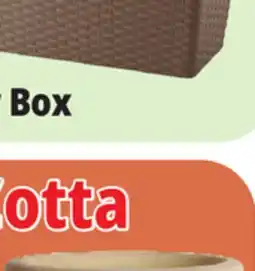 Ocean State Job Lot 19.5 Window Box offer