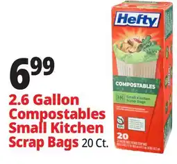 Ocean State Job Lot Hefty Compostable Small Kitchen Scrap Bags 20 Count offer