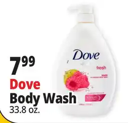 Ocean State Job Lot Dove Body Wash offer