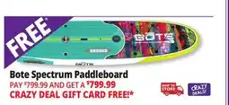 Ocean State Job Lot BOTE 10' x 6 Breeze Gatorshell Native Paddle Board with Paddle Native Spectrum offer