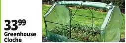 Ocean State Job Lot Greenhouse Cloche offer