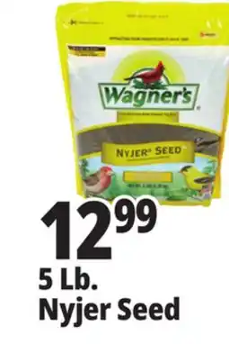 Ocean State Job Lot Wagner's Premium Nyjer Seed 5 lbs offer
