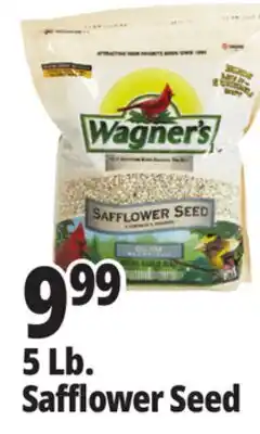 Ocean State Job Lot 5 Lb. Safflower Seed offer