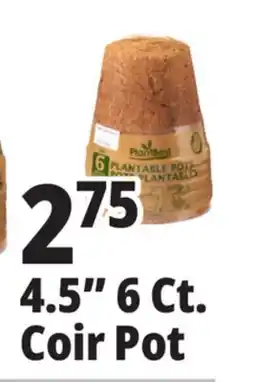 Ocean State Job Lot Plant Best Plantable 4.5 Coconut Coir Pots 6 Count offer