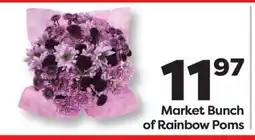 Weis Markets Market Bunch of Rainbow Poms offer
