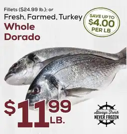 DeCicco & Sons Whole Dorado offer