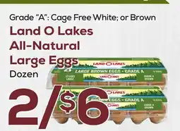 DeCicco & Sons Land O Lakes All-Natural Large Eggs offer