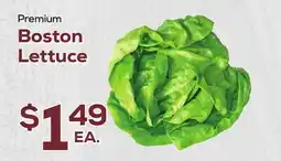 DeCicco & Sons Premium Boston Lettuce offer
