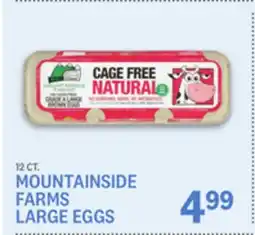 Kings Food Markets MOUNTAINSIDE FARMS LARGE EGGS offer