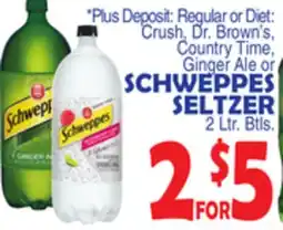 Bravo Supermarkets SCHWEPPES SELTZER offer