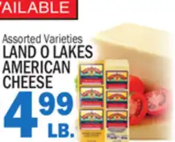 Bravo Supermarkets LAND O LAKES AMERICAN CHEESE offer