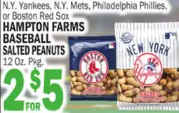 Bravo Supermarkets HAMPTON FARMS BASEBALL BASEBALL SALTED PEANUTS offer