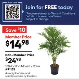 Lowe's 1.94-Gallon Majesty Palm offer