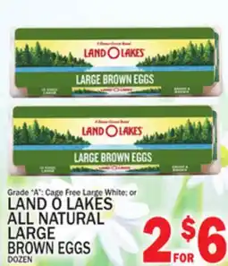 C Town LAND O LAKES ALL NATURAL LARGE BROWN EGGS offer