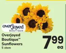 ACME Overjoyed Boutique Sunflowers offer