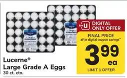 ACME Lucerne Large Grade A Eggs offer