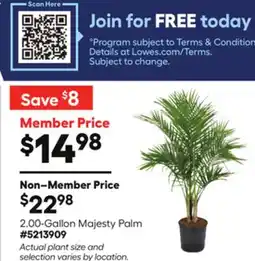 Lowe's 2.00-Gallon Majesty Palm offer