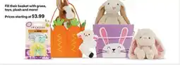 CVS Fill their basket with grass, toys, plush and more! offer