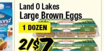Western Beef Land O Lakes Large Brown Eggs offer