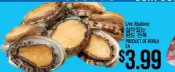 Hmart Live Abalone offer