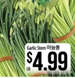 Hmart Garlic Stem offer