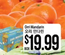 Hmart Orri Mandarin offer