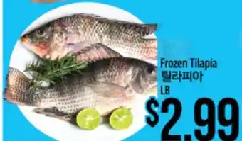 Hmart Frozen Tilapia offer