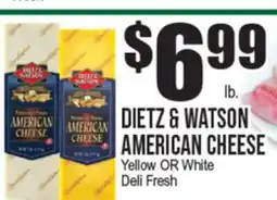 Extra Supermarket DIETZ & WATSON AMERICAN CHEESE offer
