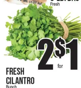 Extra Supermarket FRESH CILANTRO offer