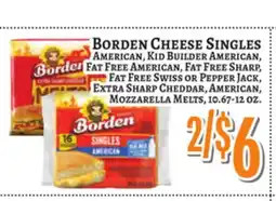 Trade Fair Supermarket Borden Cheese Singles offer