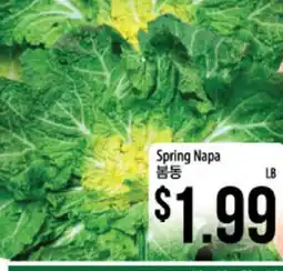 Hmart Spring Napa offer